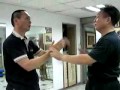 Wing Chun Gor Sau. SYH. 02Aug11'.