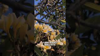 Download Lagu Kamu nggak sendirian!!! MP3 Download Lagu Kamu nggak sendirian!!! MP3
