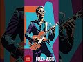 Blues music #music #song #blues #jazz #usa #florida #california #newyork #beats #radio#georgia #dj