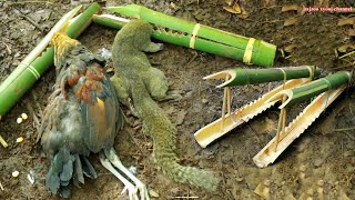 สาวดอย สร้างกับดักไก่ป่าและกระรอกสุดยอด Create Amazing chicken and squirrel traps in the forest