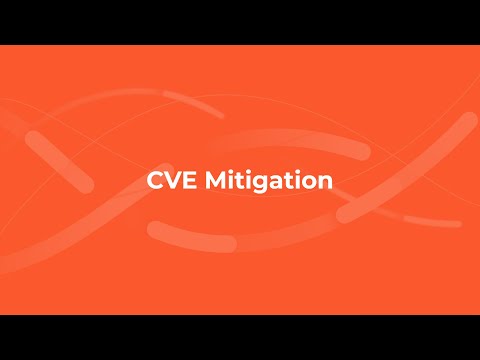 CVE Mitigation