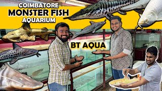 Coimbatore BT Aqua | Monster Aquarium Fish Shop | Rare Exotic Aquarium Fishes