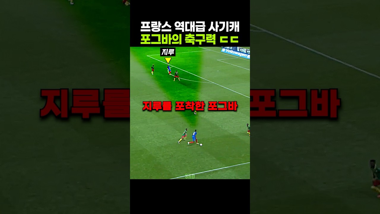 지단 이후로 프랑스 최고의 사기캐라는 포그바