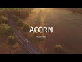 Acorn Insurance Black Box Video
