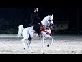 زاخر بيه و السيد البيطار بطولة مصر الدولية لأدب الخيول العربية النسخة الرابعة 2022