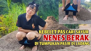 Download Lagu Saya ingin memetik sayuran dari ladang.. tetapi Nenes bingung.. MP3 Download Lagu Saya ingin memetik sayuran dari ladang.. tetapi Nenes bingung.. MP3