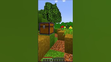 Every 10 Seconds I Randomly Teleport in Minecraft! 😱 #shorts #viralshorts 1