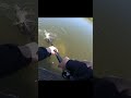 見えバス狙ってたらまさかの後ろで…