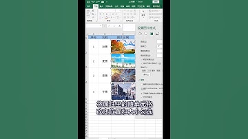 雲水禅心知识网课 图片随单元格大小自动变换，再也不用慢慢手动调整大小啦！ #excel办公小技巧