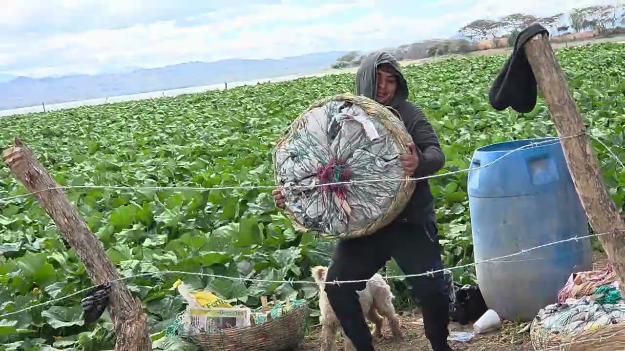 Tremendas tumbias en el lomo y de sol a sol