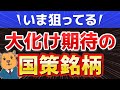 【国策銘柄】2025年大化け期待No.1の銘柄