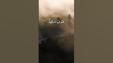سورة يس - أحمد بن طالب