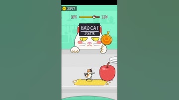 Hide and Seek :cat Escape 😺 200 . 📌 Gameplay walkthrough |Best Android, vivo Gameplay