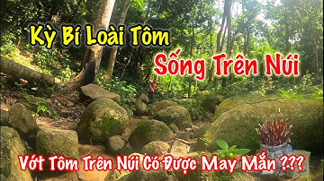 Kỳ bí loài tôm sống trên núi ở Xuân Lộc Đồng Nai.