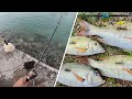 Ep3shore casting at trou aux biches fishing in mauritius
