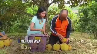 Promo Acara Trans 7 (2018)