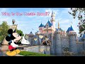 Why Disneyland's Castle Is Small