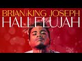 Brian King Joseph - Hallelujah (Violin Version) [Official Audio]