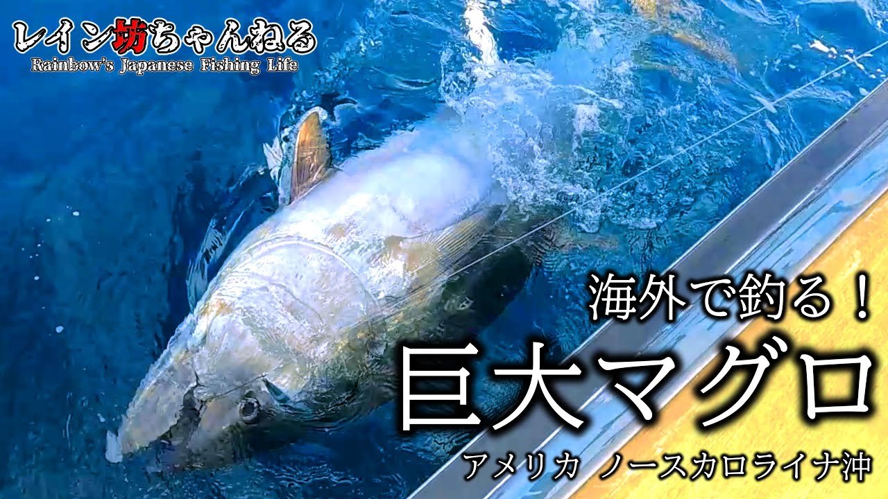 マグロ釣り】海外で巨大マグロを釣る！300キロオーバーが潜む