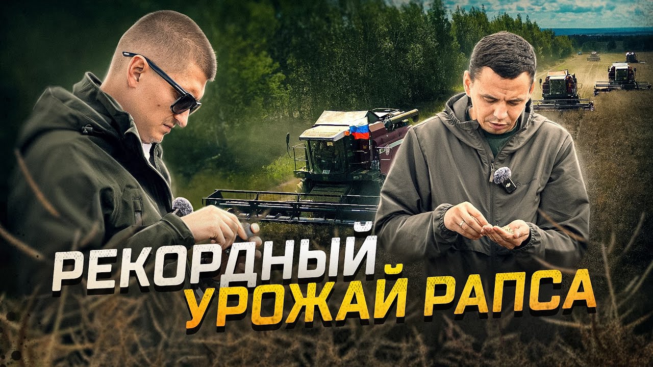Заработал 6 МИЛЛИОНОВ с одного поля! Рапс некуда складывать! Черное золото. 