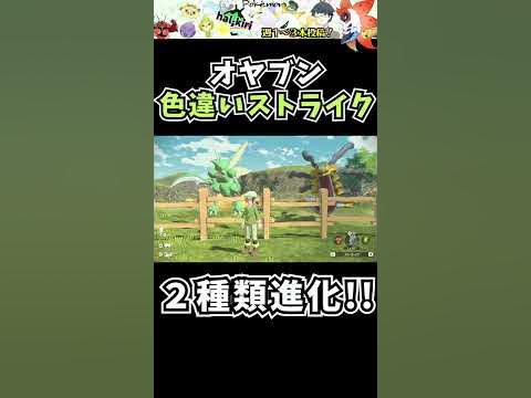 オヤブン色違いハッサムとバサギリ比較したら意外な事実が ポケモンレジェンズアルセウス 虫統一 Shorts Youtube