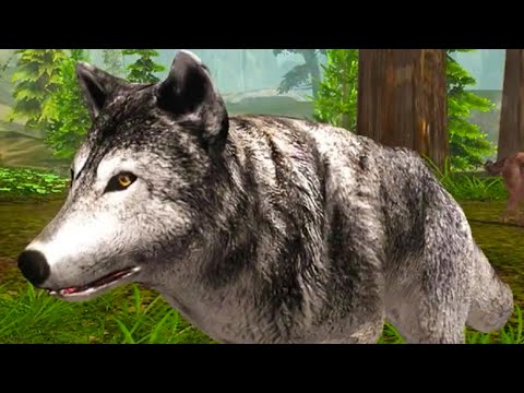 Видео: Симулятор ПИТОМЦА Волка #1 Кид против монстров в Ultimate Wolf Simulator на пурумчата