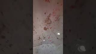 This tenant is dealing with mould, flooding in her public housing unit