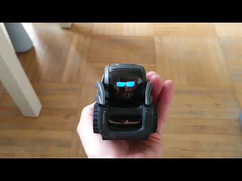 Anki Vector is angry!!! Робот злится, что не отпускаю 😡