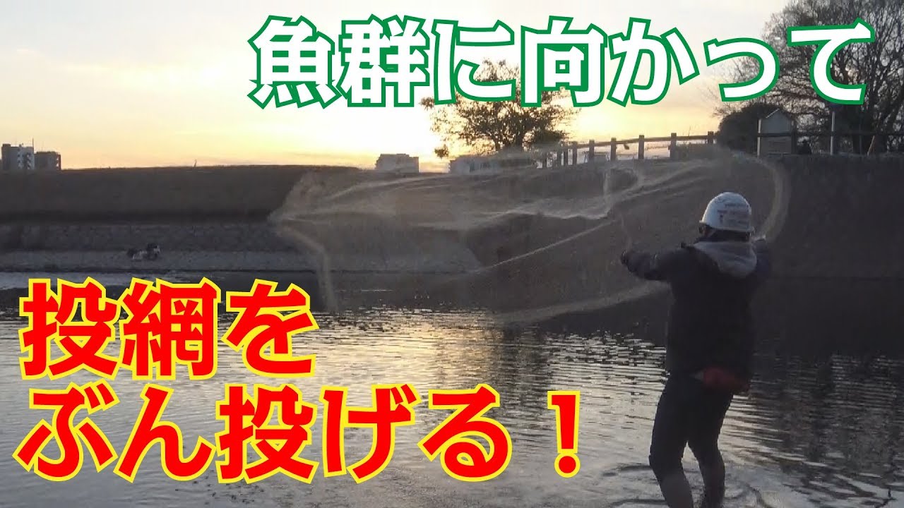投網　鮎　川 Casting a net in a river in a big city leads to unexpected results
