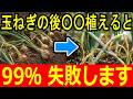 【絶対やるな】玉ねぎ跡地に植えると失敗する野菜｜後作で成功する野菜と失敗の仕組み