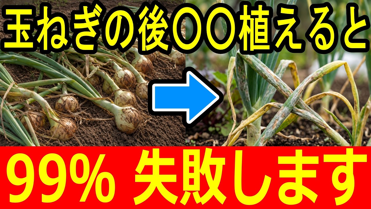 DO NOT DO THIS】Vegetables You Should Never Plant After Onions