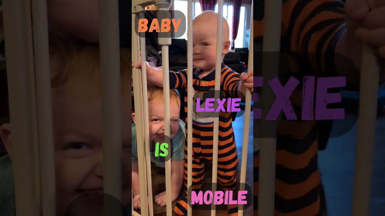 Baby Jail Cute Toddler Trapped In Their Living Room Beware Our Mobile 