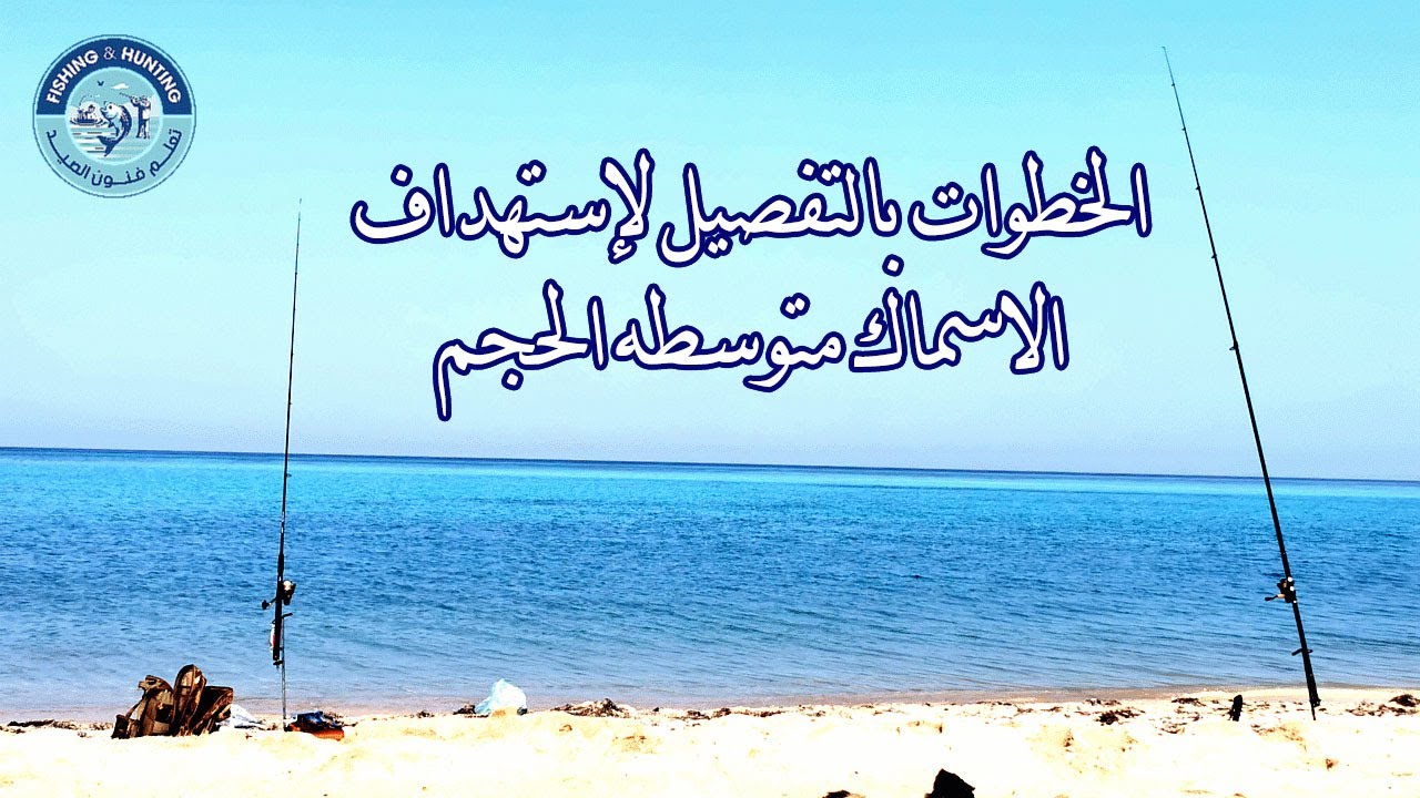 الخطوات بالتفصيل لإستهداف الاسماك متوسطه الحجم