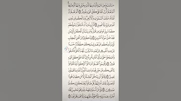 سورة البقرة صفحه في اليوم تسعد يومك بإذن الله تعالى #قران#الابذكرالله_تطمئن_القلوب #qurankarim