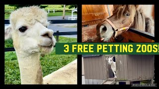 Free Things to Do in Lancaster County 3 Awesome FREE Petting Zoos