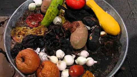 O que é decomposição de alimento?