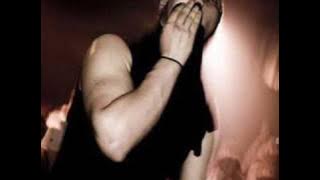 Kazi Ploae - Visele smulg gratii