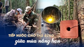 Tiếp nước cho thú rừng giữa mùa khô nắng hạn