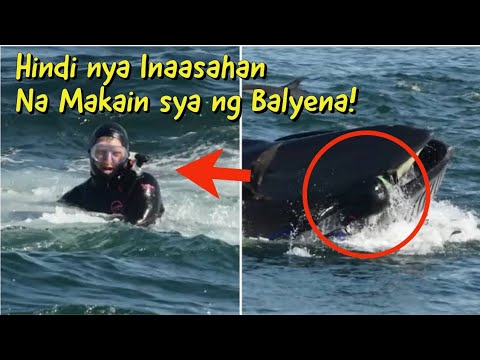 Video: Gaano katagal si Propeta Yunus sa balyena?