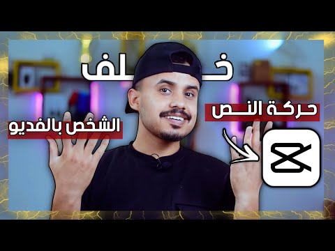 فيديو: الكلاب بيبي الوجه تقفز في شعبية