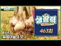 [생활력] 463회 다시보기ㅣMBC충북ㅣ250701