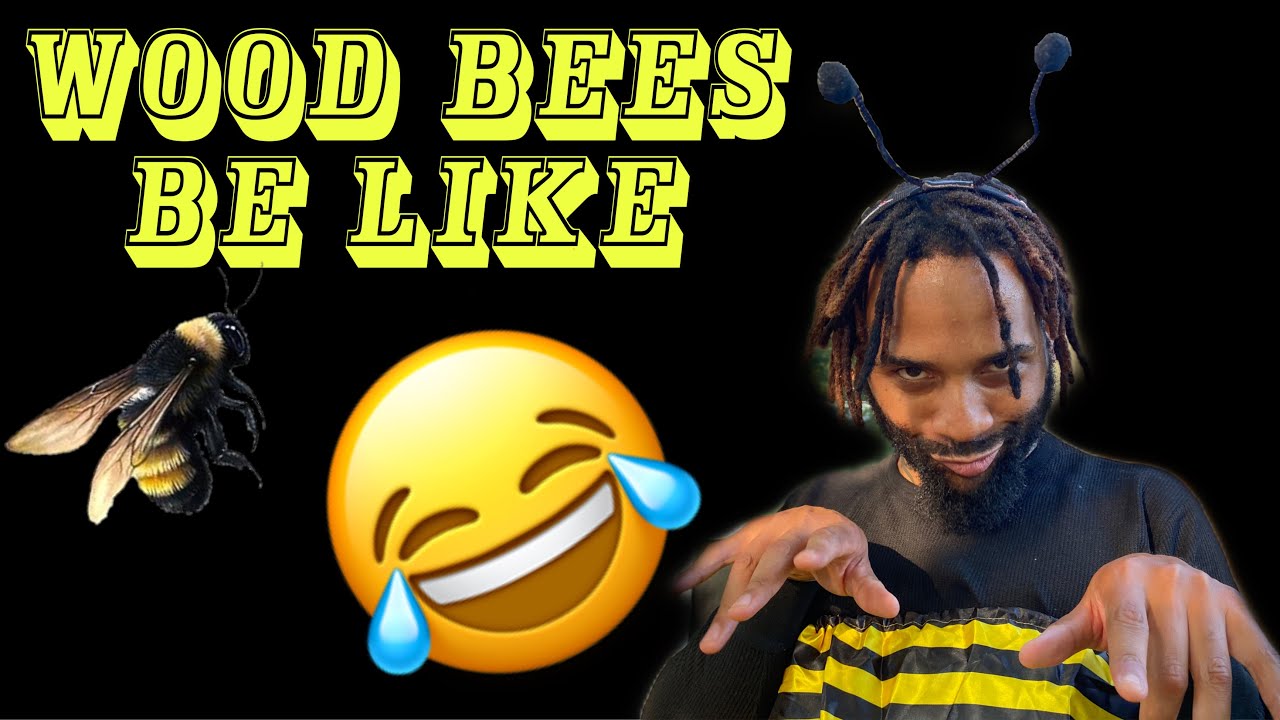 WOOD BEES BE LIKE...... - YouTube