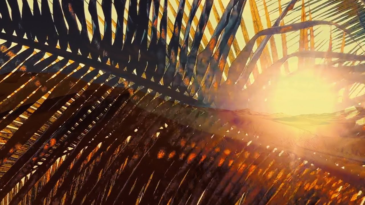 Димитрис Крист / Dimitris Krist - Я НЕ ЗНАЛ / I DIDN'T KNOW [GRAND PIANO] - LYRICS - fan vid