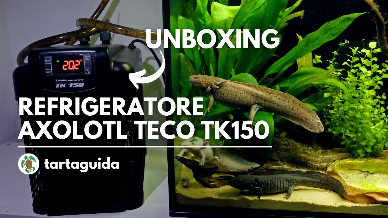 Refrigeratore Axolotl TECO TK150 - Unboxing 