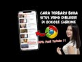 Cara Membuka Situs Yang  Diblokir Google Chrome Terbaru