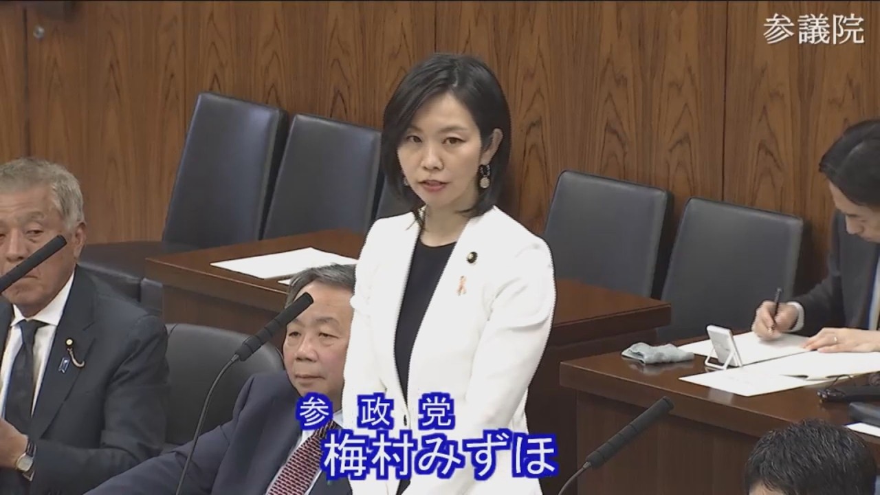 2026.04.24　沖縄・北方問題及び地方に関する特別委員会　梅村みずほ