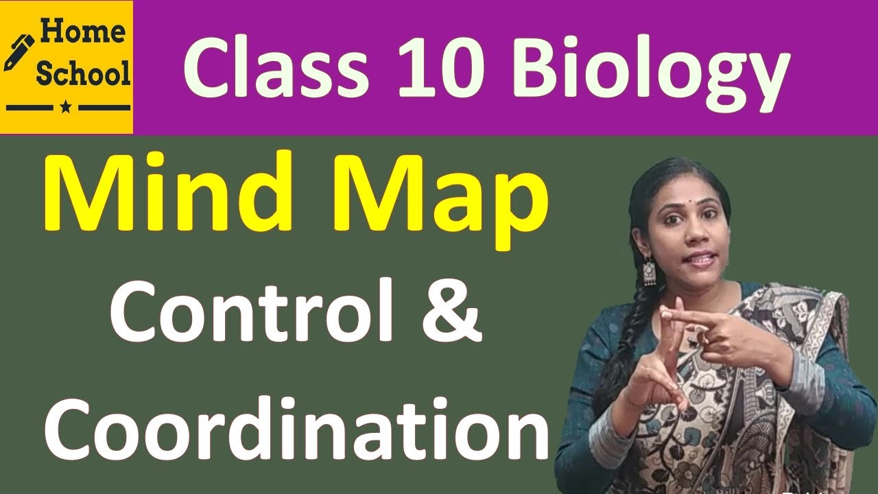 case study class 10 control and coordination