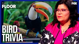 Can You Name All These Different Birds? | The Floor screenshot 4