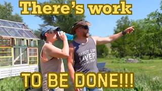 Clearing Out Our Hillbilly Homestead