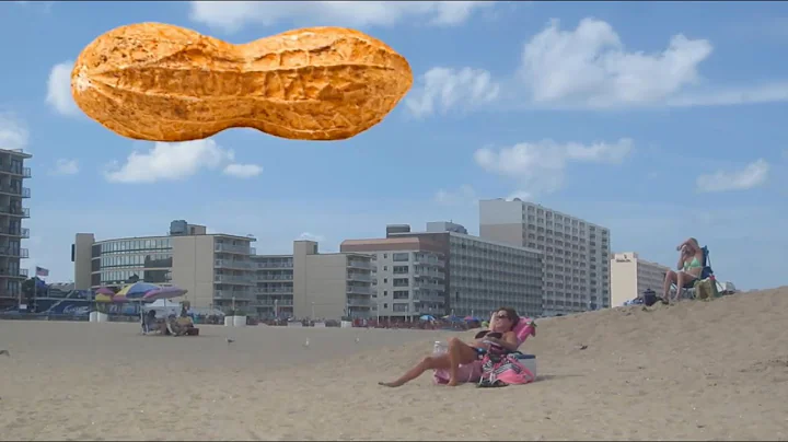 Tyler Baum - Peanut in the Sky (Unofficial Music V...